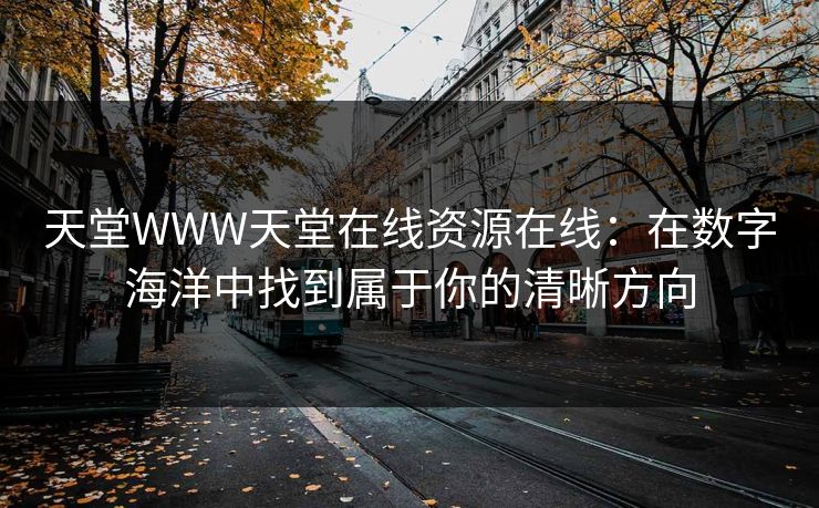 天堂WWW天堂在线资源在线:在数字海洋中找到属于你的清晰方向