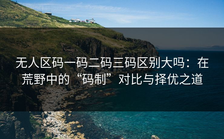 无人区码一码二码三码区别大吗:在荒野中的“码制”对比与择优之道 无人区码一码二码三码区别大吗:在荒野中的“码制”对比与择优之道