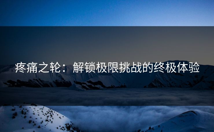 疼痛之轮:解锁极限挑战的终极体验 疼痛之轮:解锁极限挑战的终极体验