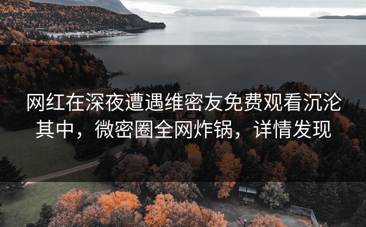 网红在深夜遭遇维密友免费观看沉沦其中,微密圈全网炸锅,详情发现